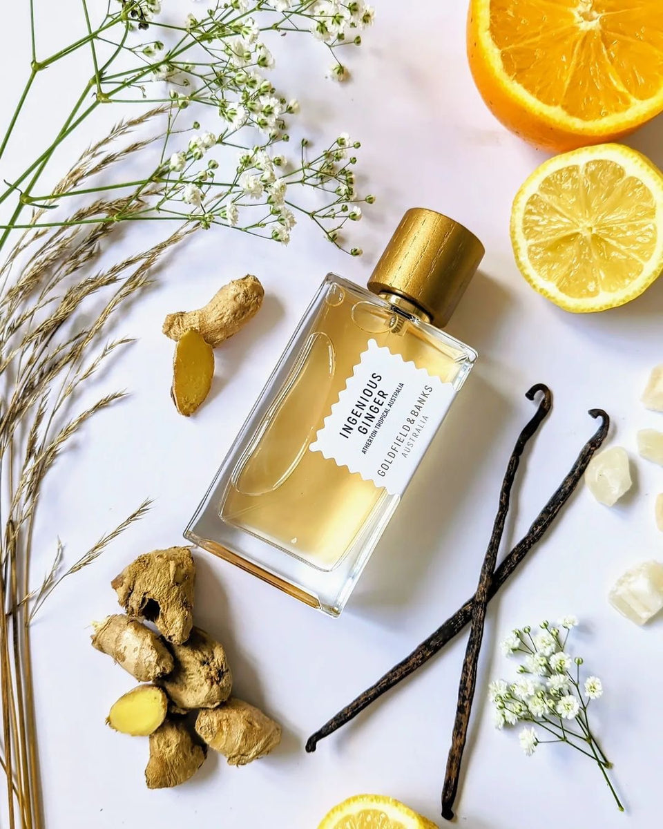 Ingenious Ginger – La Jetée