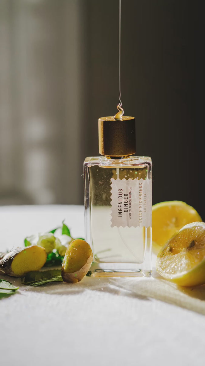 Ingenious Ginger – La Jetée