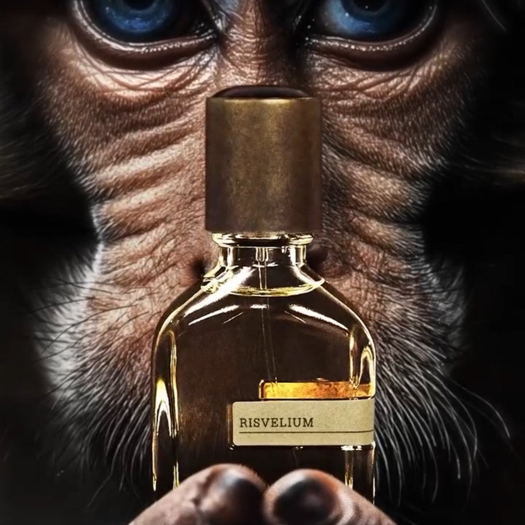 Risvelium by Orto Parisi | La Jetée Perfumery