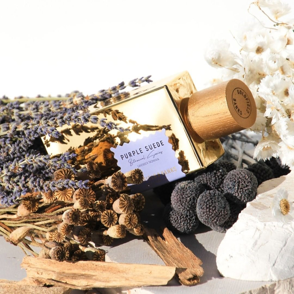 Purple Suede – La Jetée