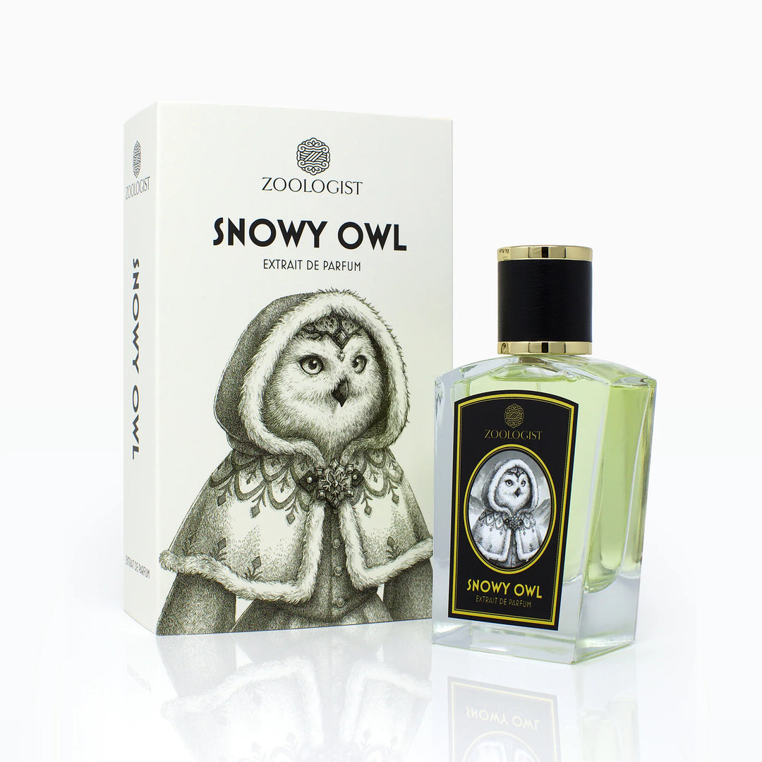 Snowy Owl – La Jetée