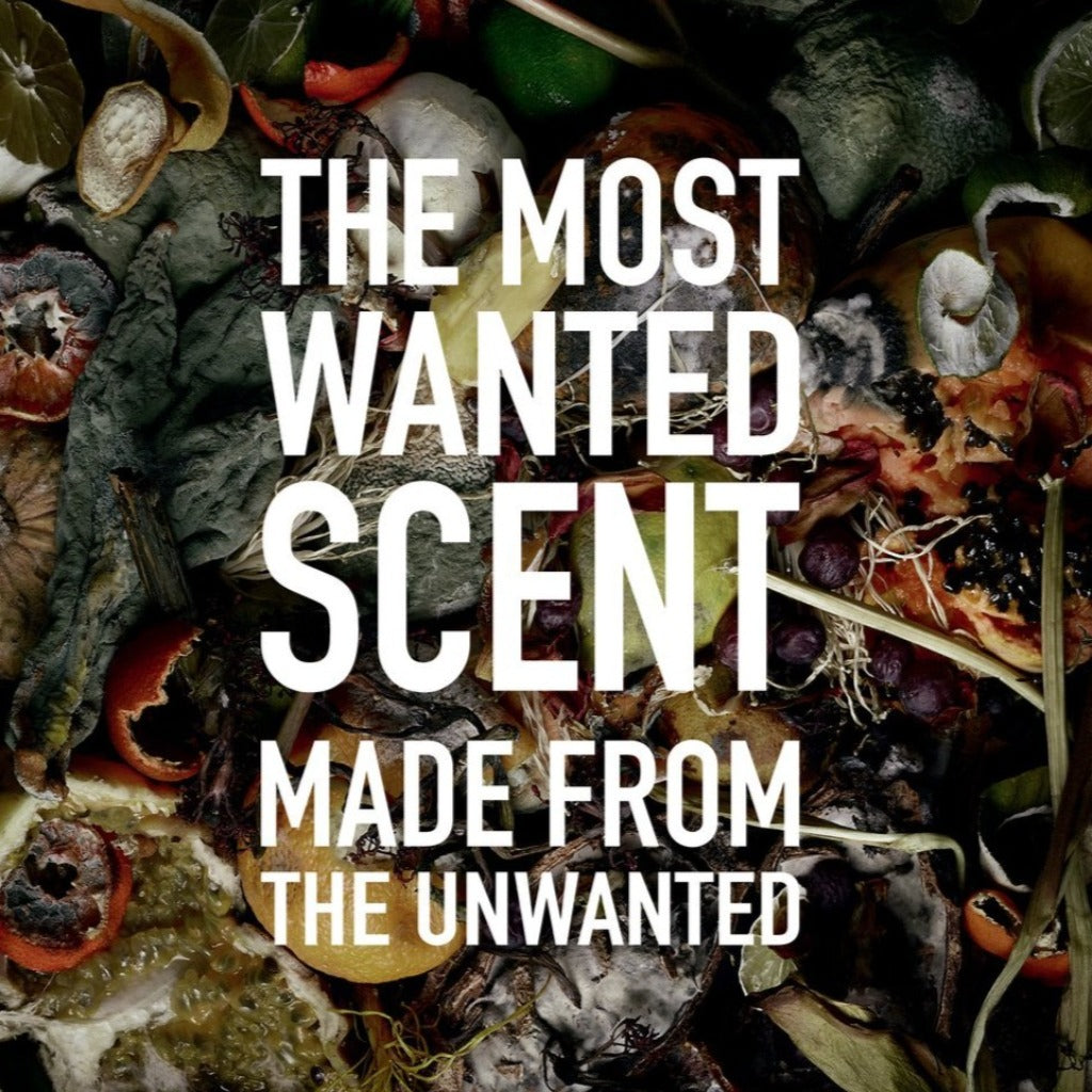 I Am Trash – La Jetée