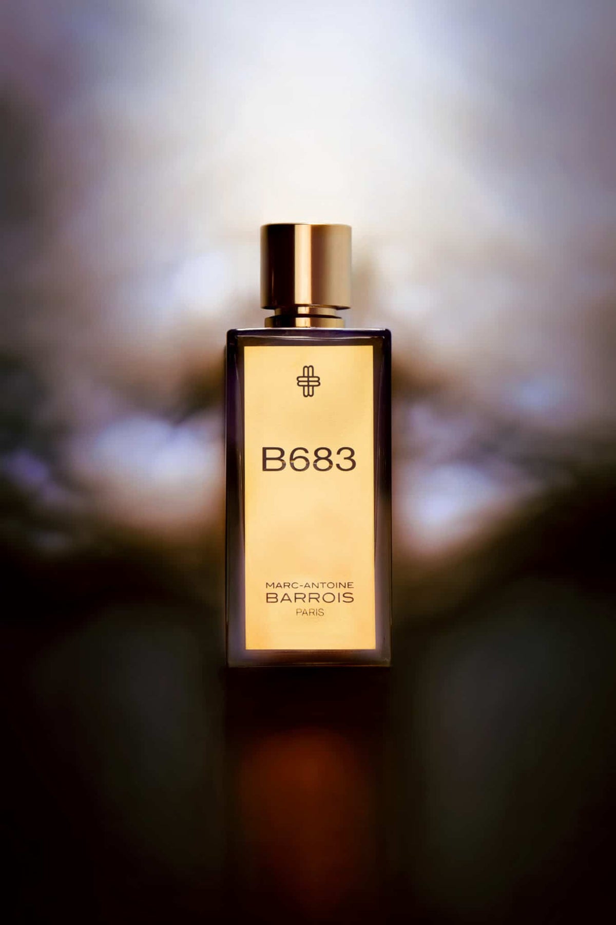 B683 perfume Clearance
